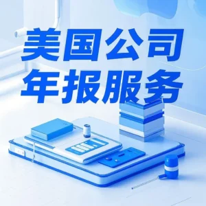 美国公司年报服务