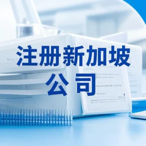 注册新加坡公司